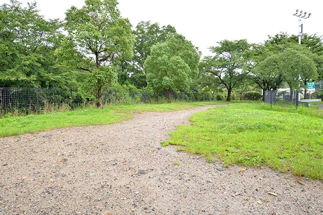 名神高速道路 黒丸パーキングエリア(上り線) ドッグラン