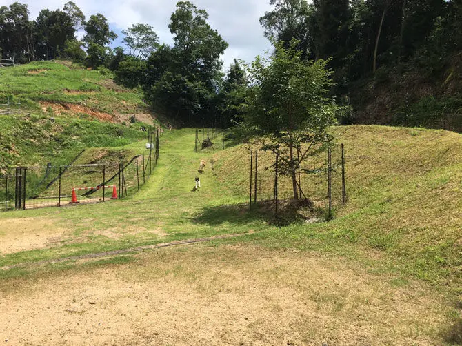 西京の森どうぶつ病院 ドッグラン