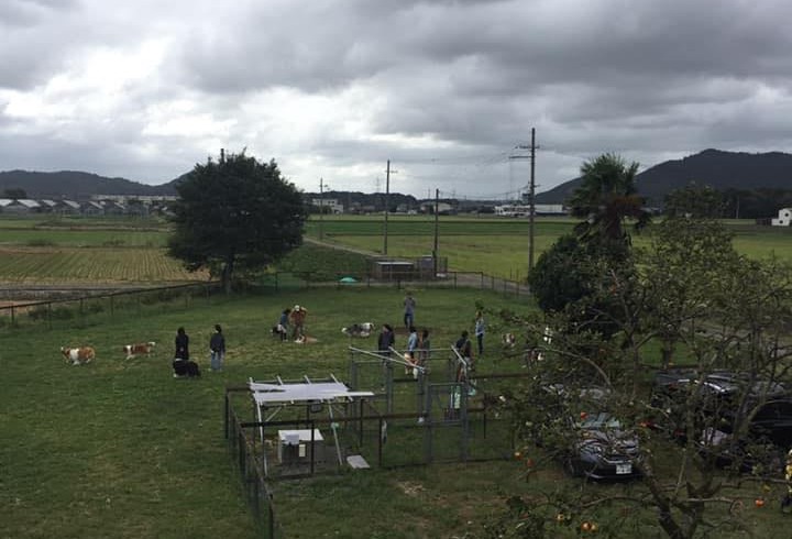 集いの郷ドッグラン