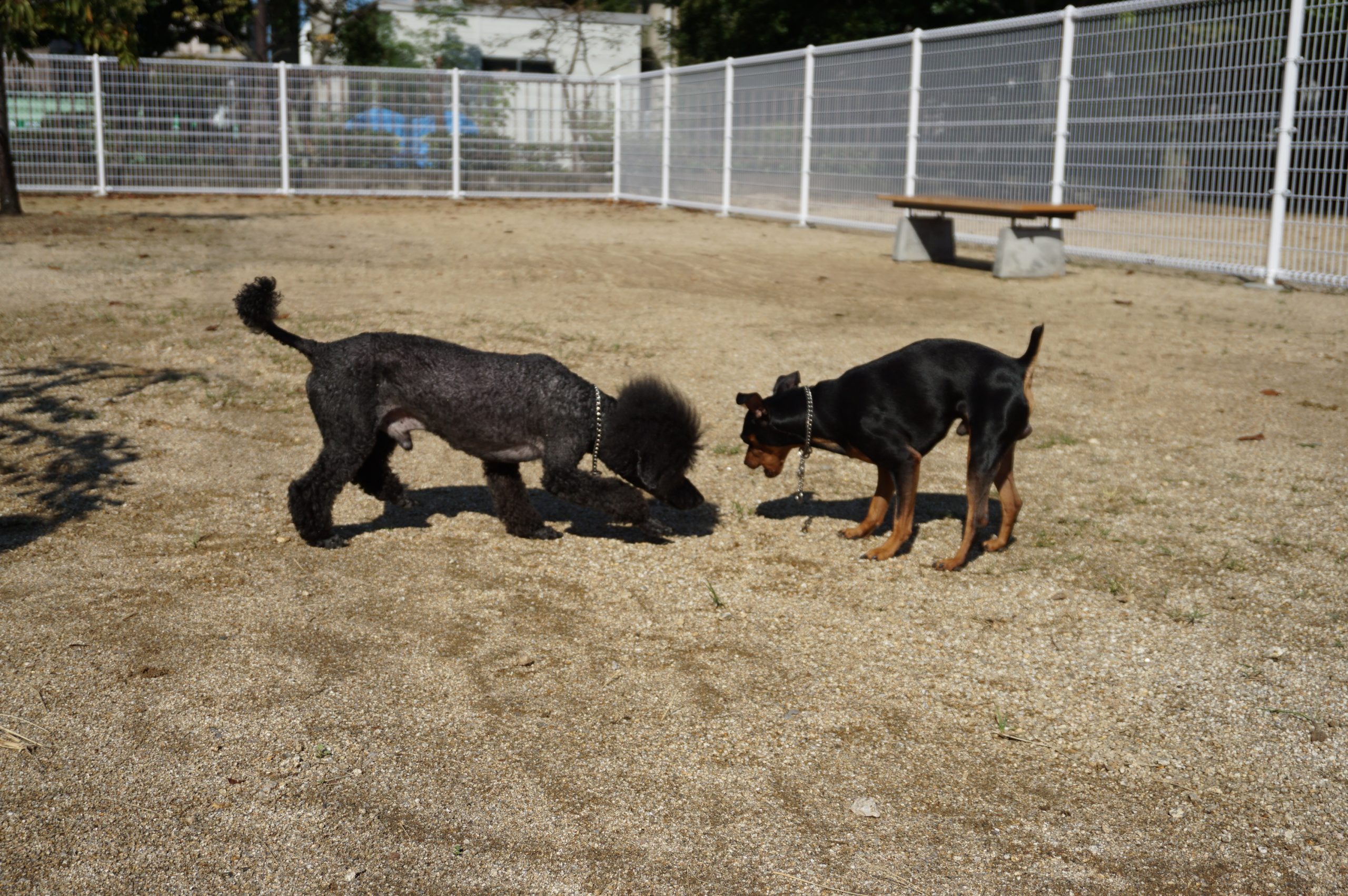 2号公園(六番丁ビオトープ公園)