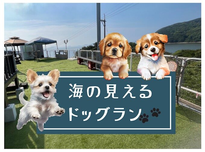 海の見えるドッグラン