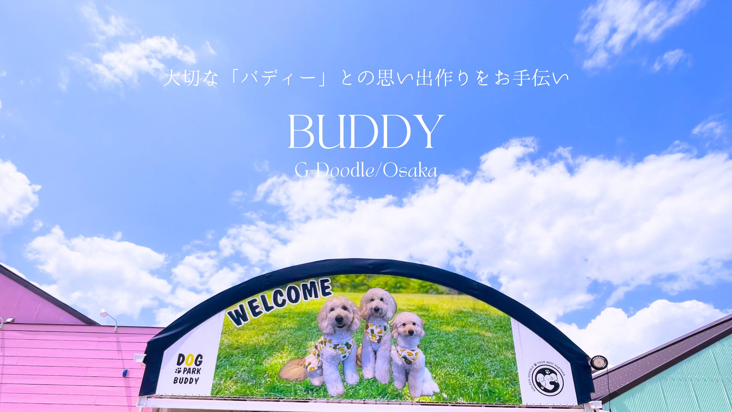 BUDDY G-Doodle/osaka