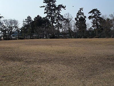 知内浜オートキャンプ場 ドッグラン