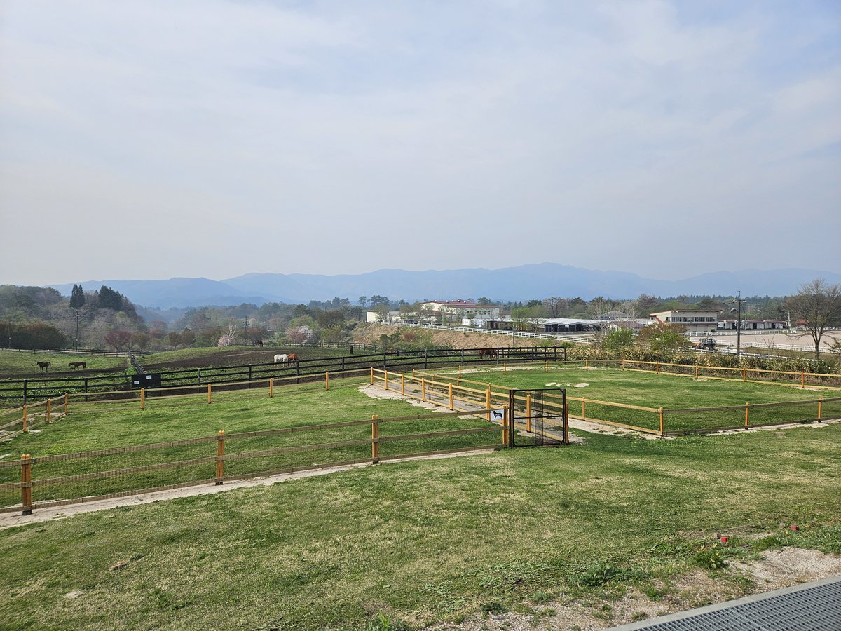 ひるぜんジャージーランド