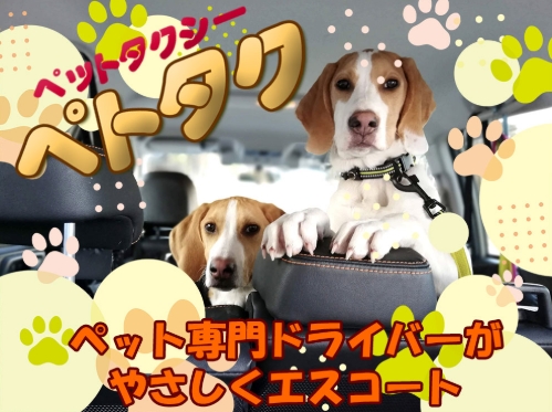 ペトタク 大阪店