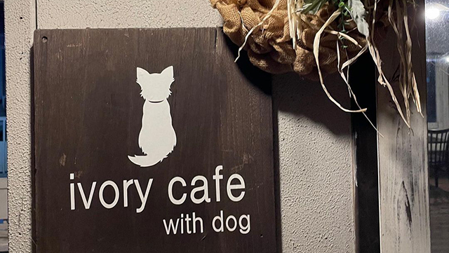 ivory cafe