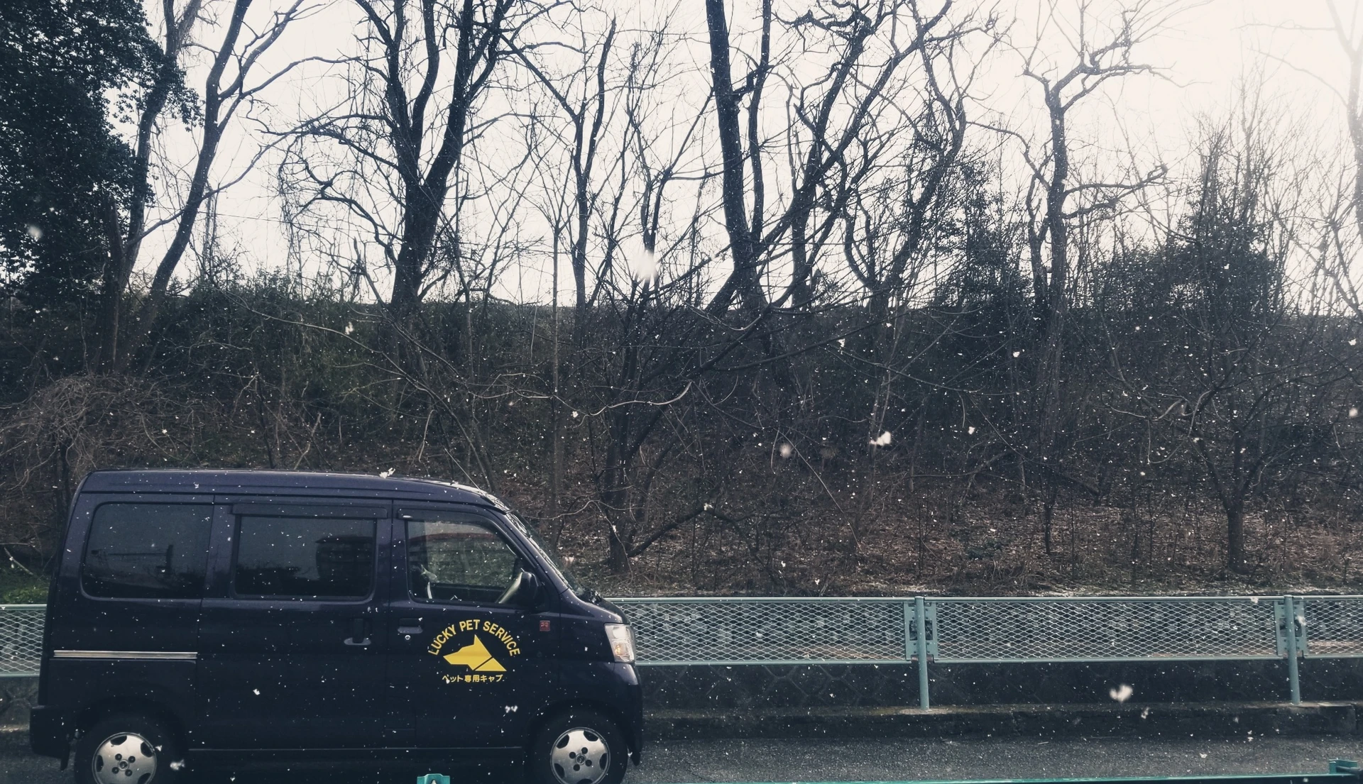 2c52c1f9-dd7b-4094-bd2a-659baa777fac