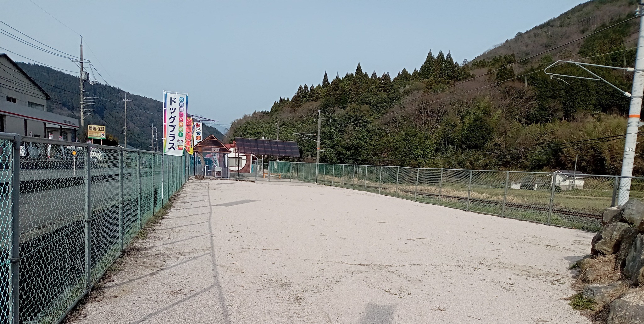 ドッグプラス