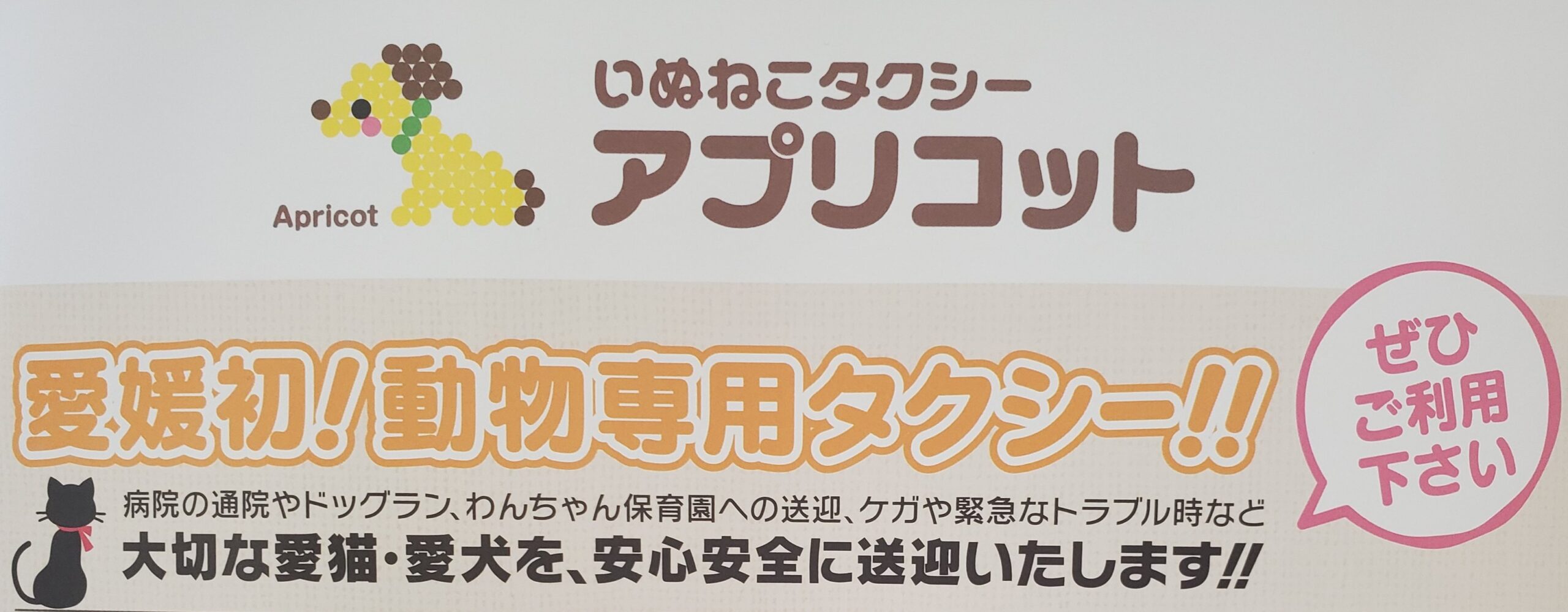 いぬねこタクシーアプリコット