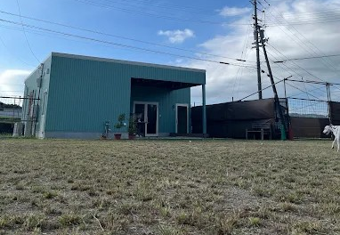 dog base polako
