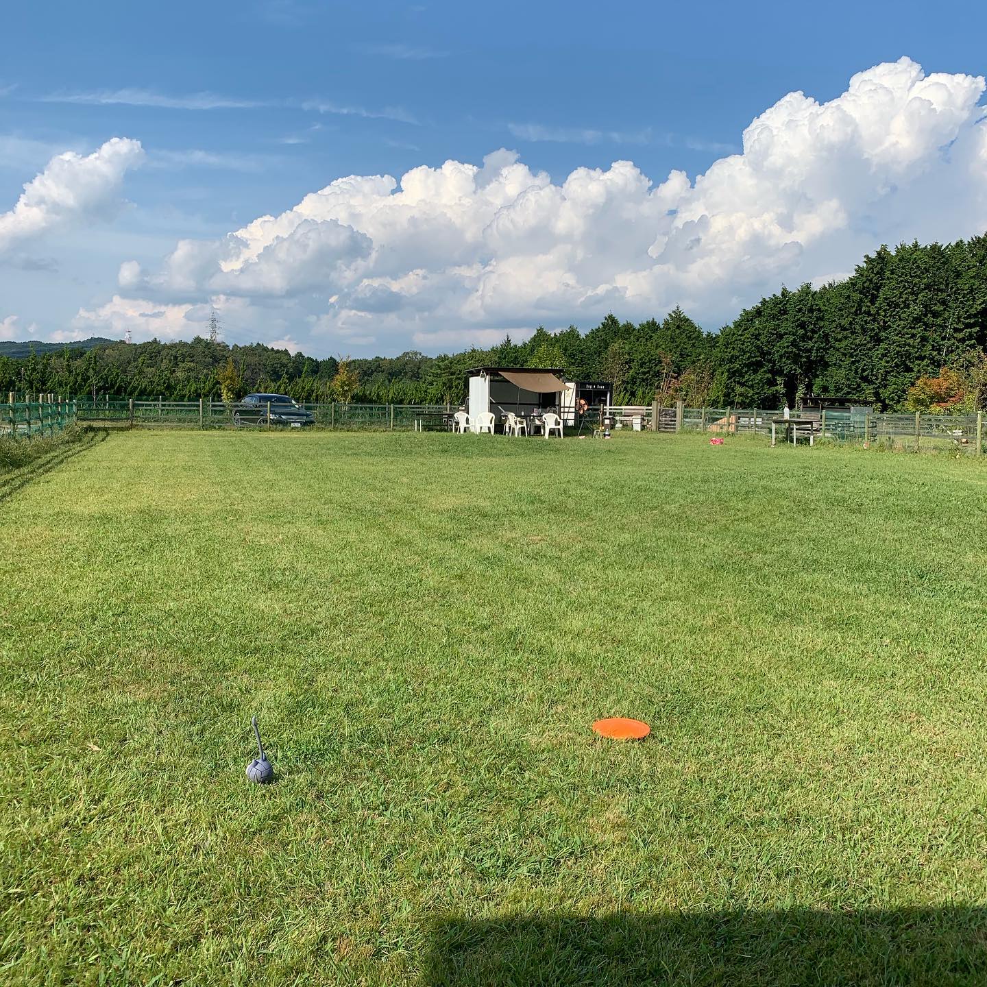 Dog Base ドッグラン