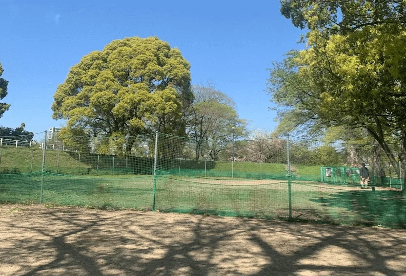 石手川緑地 わんパーク
