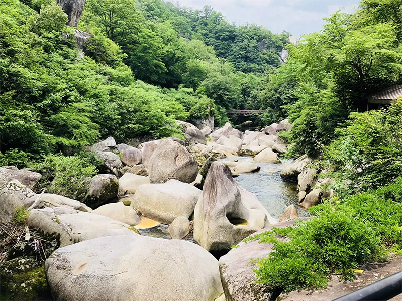 鬼の舌震ドッグラン