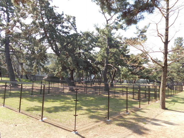 浜寺公園 ドッグラン