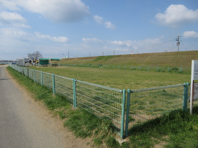 紀の川第1緑地（ドッグラン）