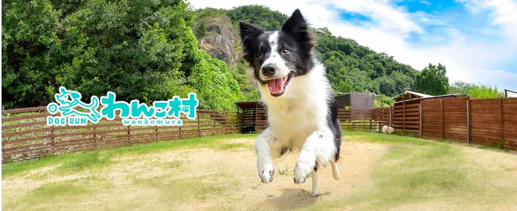 DogRunわんこ村
