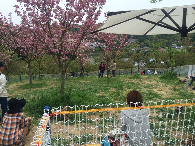 松山総合公園ドッグラン
