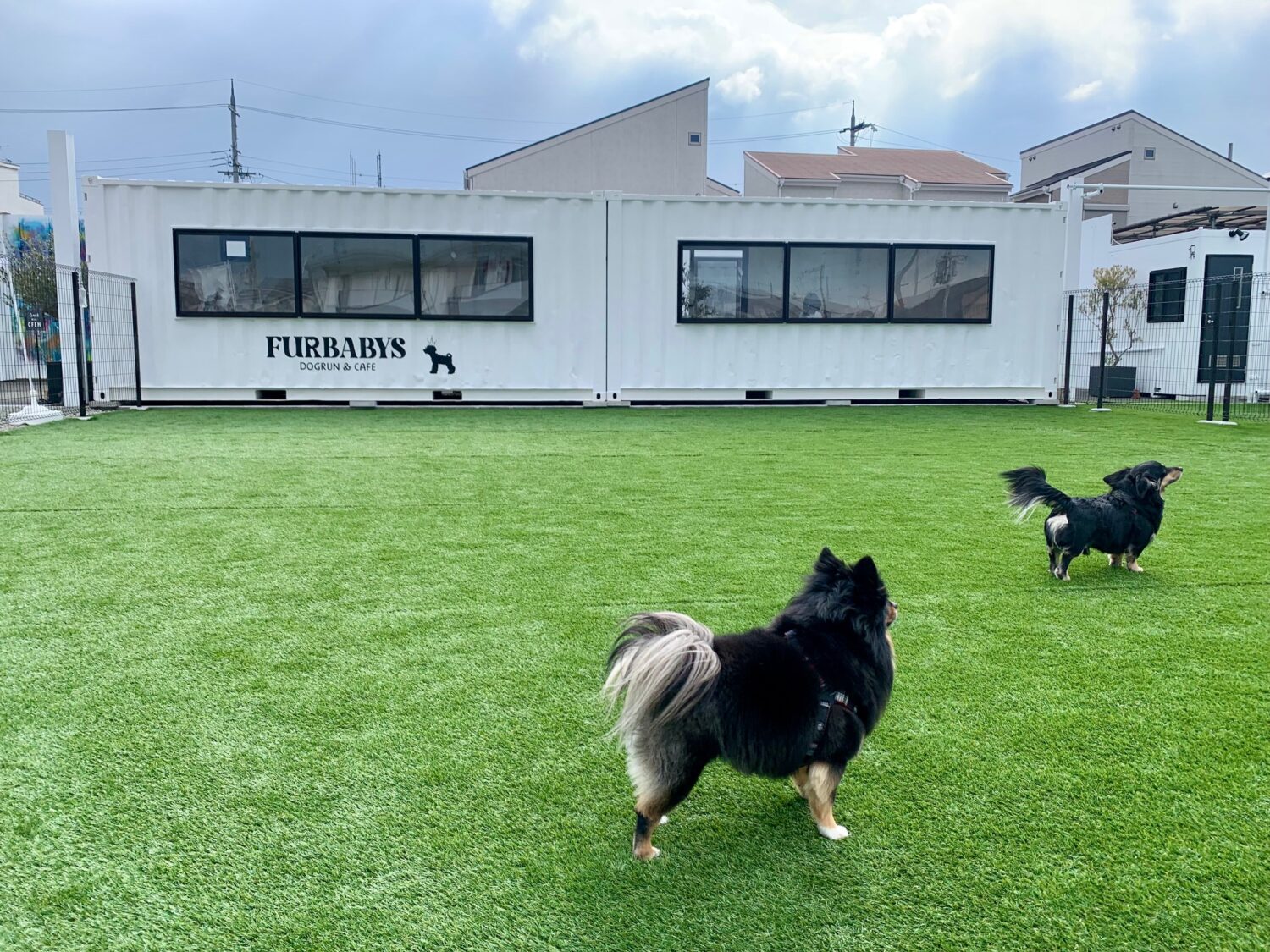 FURBABYS Dogrun&Cafe