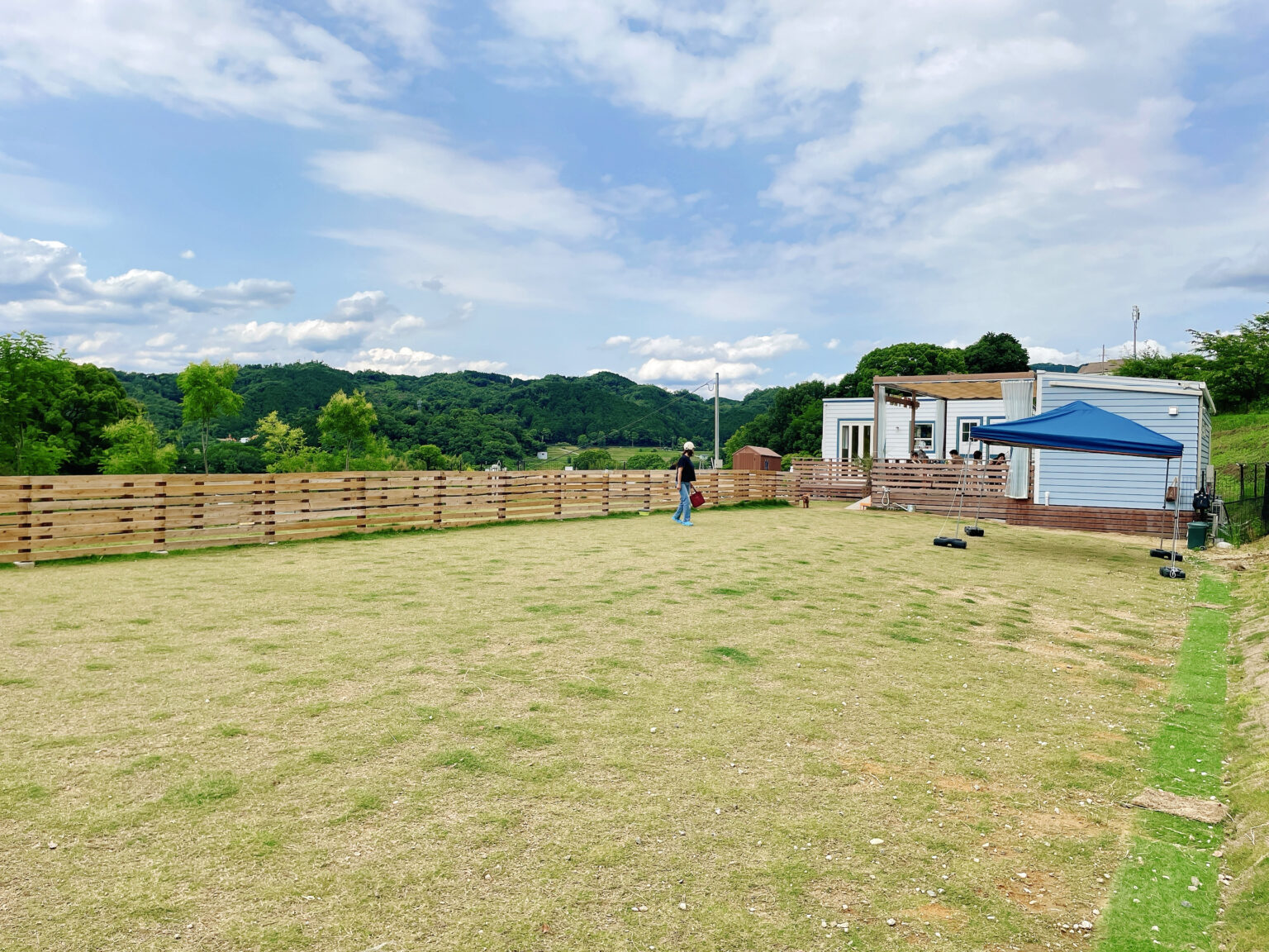 cafe two two & dog grass field