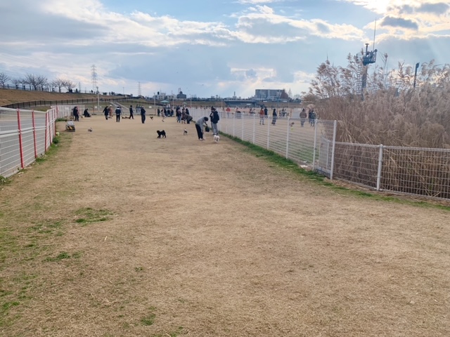 花園中央公園 ドッグラン