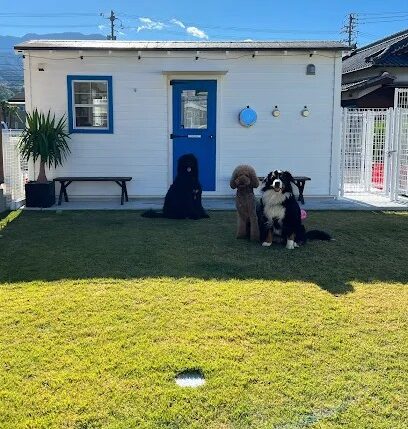 POWWOW DOGPARK