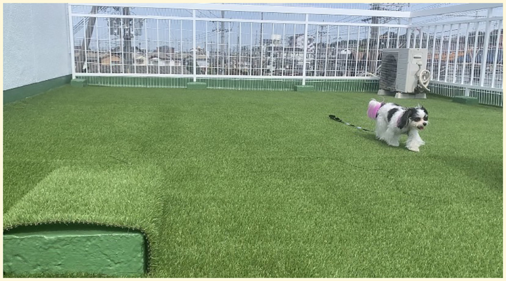 dogsalon wancoco