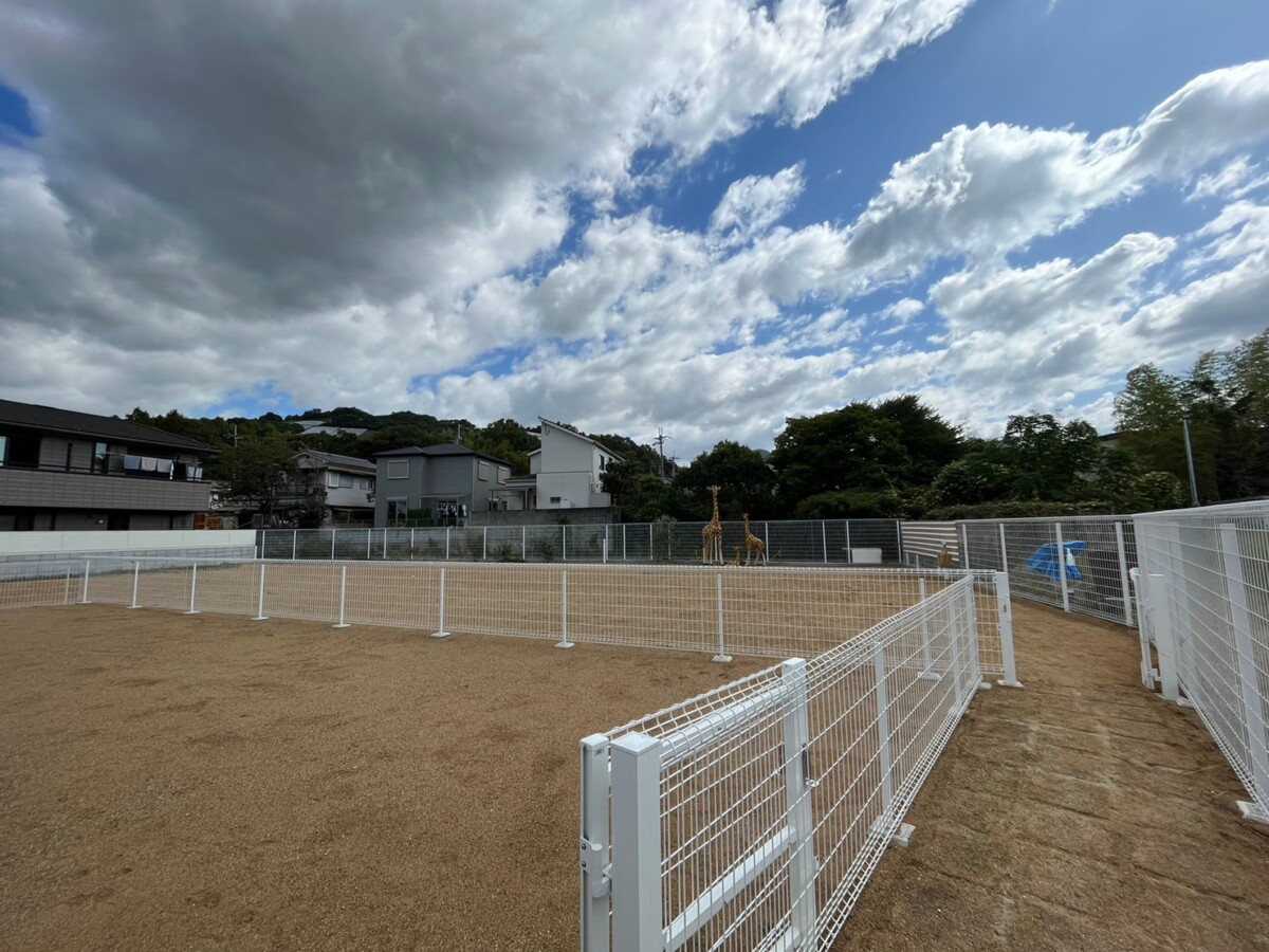 ドッグラン ラクーン
