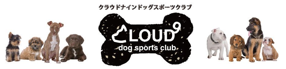 クラウド9ドッグスポーツクラブ