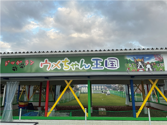 ウメちゃん王国