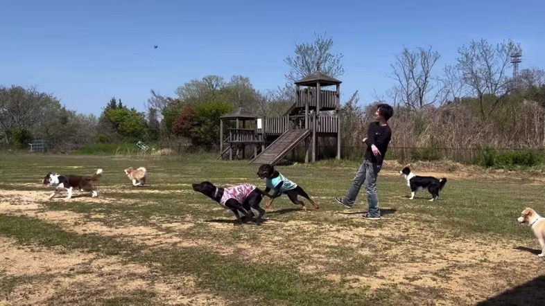 さぬき動物霊園