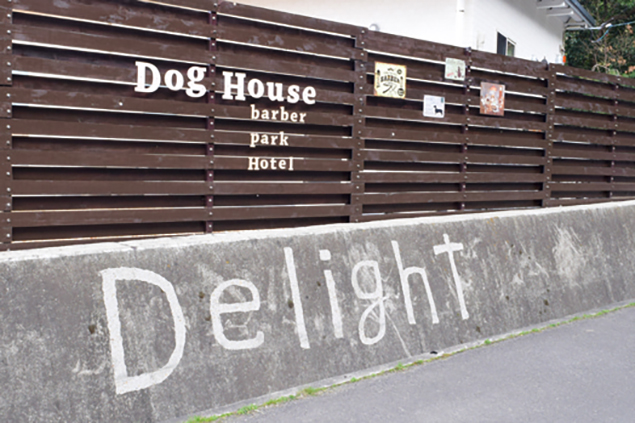 Delight
