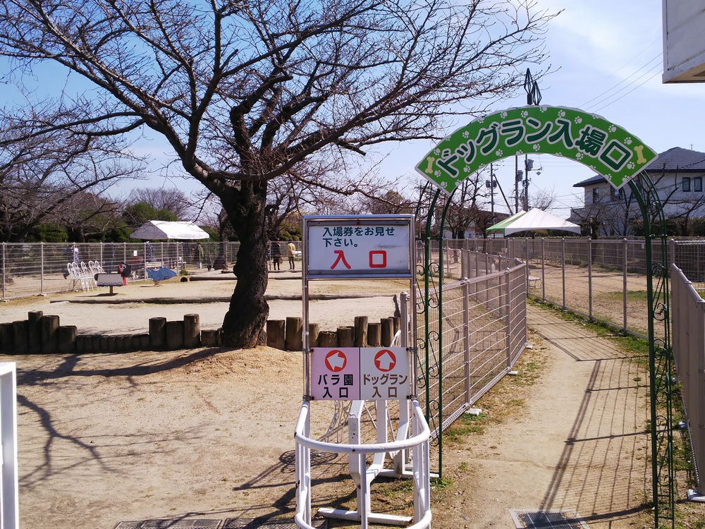 RSKバラ園