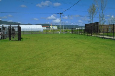 農マル園芸 あかいわ農園