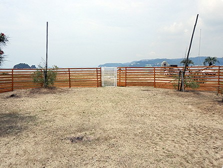 前島ドッグラン