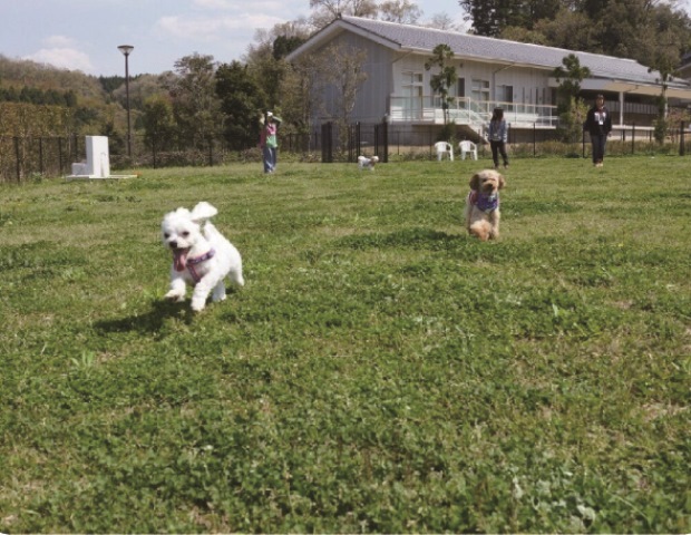 中和保健所動物愛護センター ドッグラン