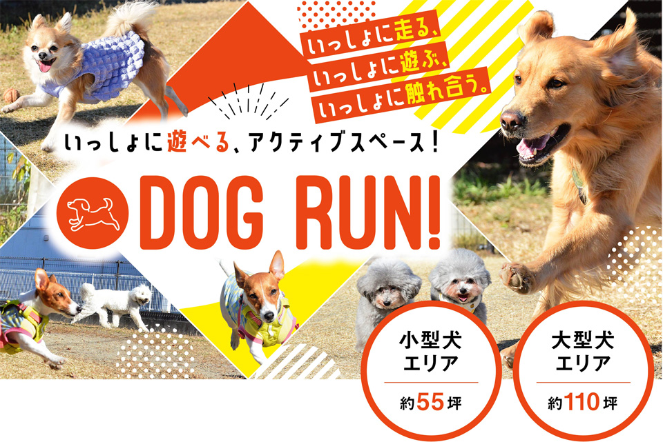 Step Do! ドッグラン