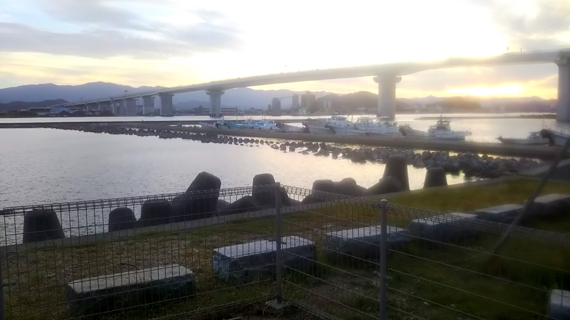 徳島新鮮なっとく市 ドッグラン