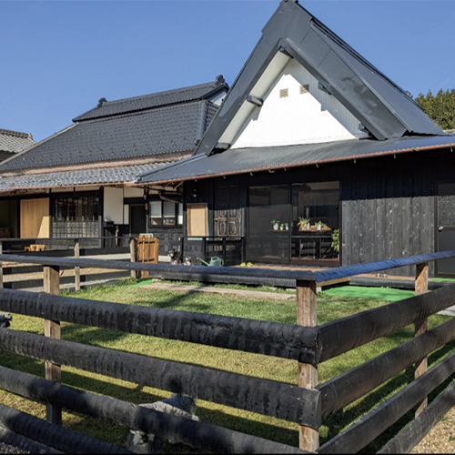 Dog cafe あのぴ