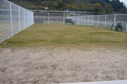field-img02.jpg