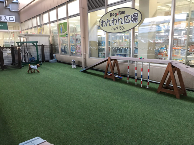 カインズ 神戸深江浜店 ドッグラン
