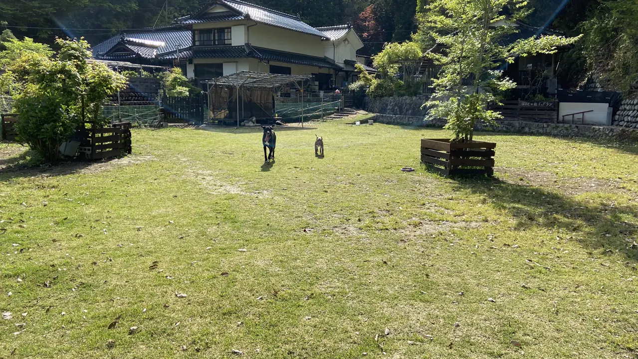 はおとの杜