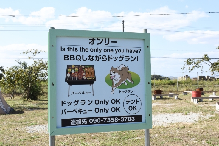 BBQ & ドッグラン オンリー