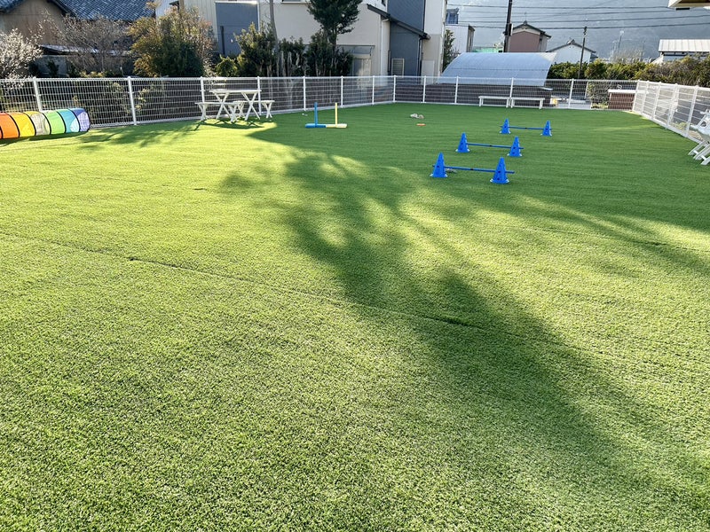 Doggo house