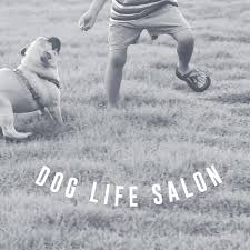TOUJOURS DOG LIFE SALON
