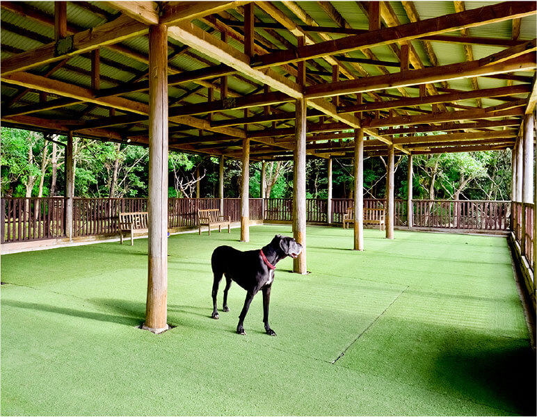 Partners House Yuasa