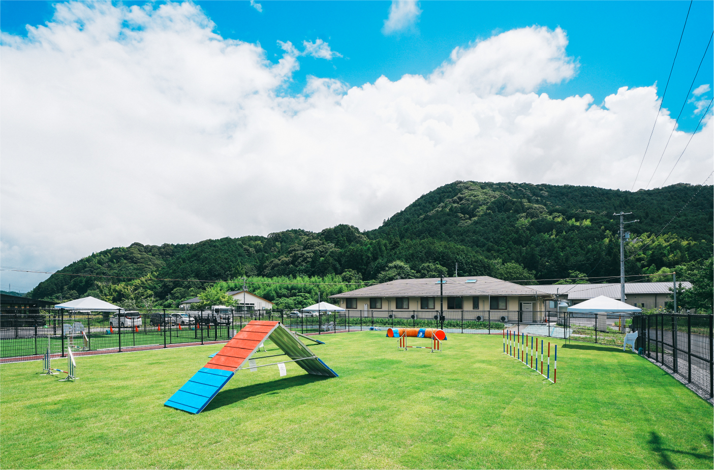Tinee Dog Park