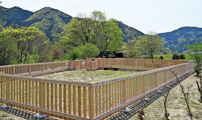 水辺の楽校中鳥川公園