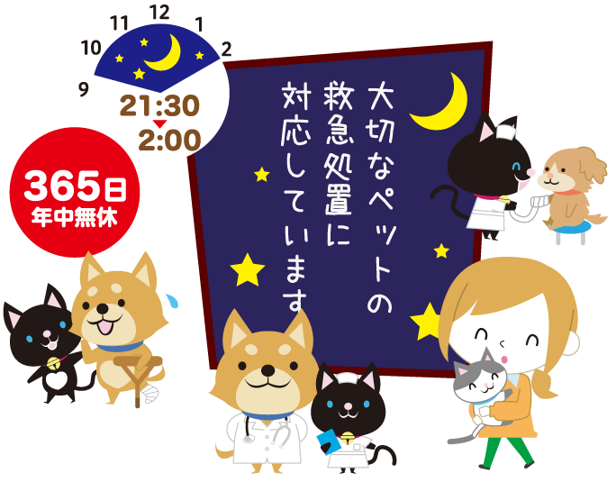 京都夜間動物救急センター