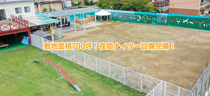 おおいずみドッグスポーツワン
