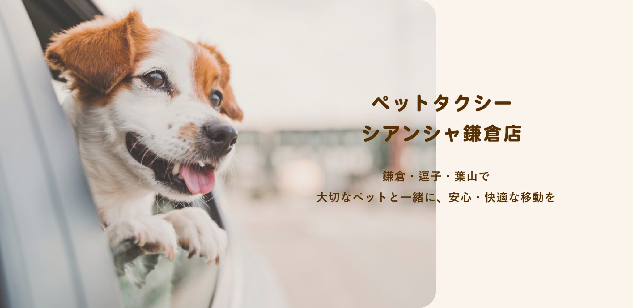 ペットタクシーシアンシャ鎌倉店